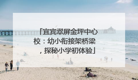 宜宾翠屏金坪中心校：幼小衔接架桥梁，探秘小学初体验