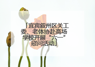 宜宾叙州区关工委、老体协赴高场学校开展“六一”慰问活动