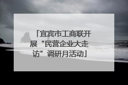 宜宾市工商联开展“民营企业大走访”调研月活动