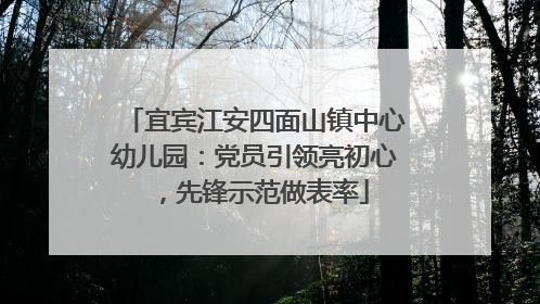 宜宾江安四面山镇中心幼儿园：党员引领亮初心，先锋示范做表率