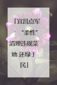 宜昌点军：“柔性”清理违规菜地 还绿于民