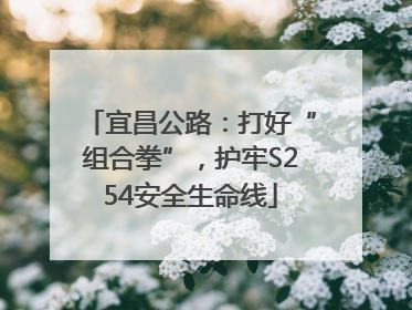 宜昌公路：打好“组合拳”，护牢S254安全生命线