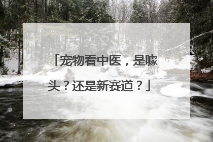 宠物看中医，是噱头？还是新赛道？