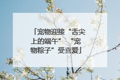 宠物迎接“舌尖上的端午” “宠物粽子”受喜爱