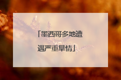 墨西哥多地遭遇严重旱情