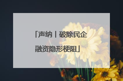 声纳丨破除民企融资隐形梗阻