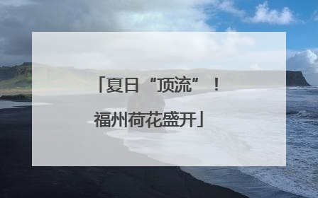 夏日“顶流”！福州荷花盛开