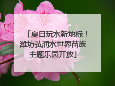 夏日玩水新地标！潍坊弘润水世界苗族主题乐园开放