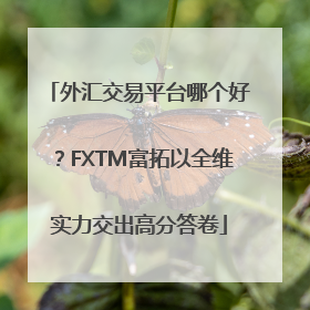 外汇交易平台哪个好？FXTM富拓以全维实力交出高分答卷