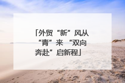 外贸“新”风从“青”来 “双向奔赴”启新程