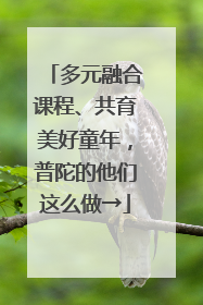 多元融合课程、共育美好童年，普陀的他们这么做→
