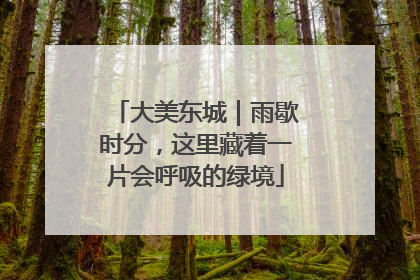 大美东城｜雨歇时分，这里藏着一片会呼吸的绿境