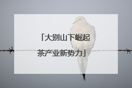大别山下崛起茶产业新势力