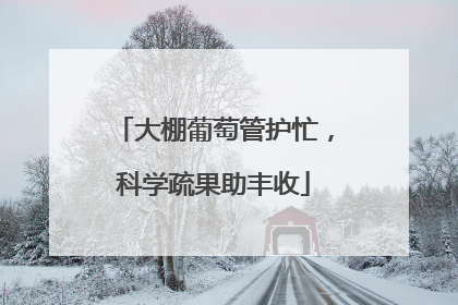 大棚葡萄管护忙，科学疏果助丰收