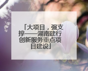 大项目，强支撑——湖南建行创新服务重点项目建设