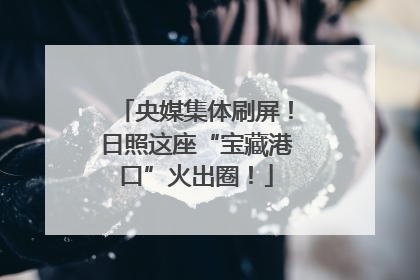 央媒集体刷屏！日照这座“宝藏港口”火出圈！