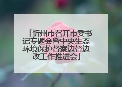 忻州市召开市委书记专题会暨中央生态环境保护督察边督边改工作推进会