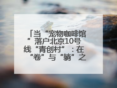 当“宠物咖啡馆”落户北京10号线“青创村”：在“卷”与“躺”之间，他们找到了第三种生活公式