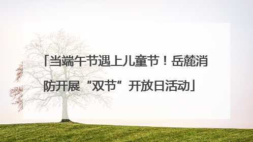 当端午节遇上儿童节！岳麓消防开展“双节”开放日活动