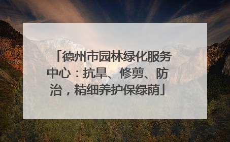 德州市园林绿化服务中心：抗旱、修剪、防治，精细养护保绿荫