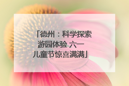 德州：科学探索 游园体验 六一儿童节惊喜满满