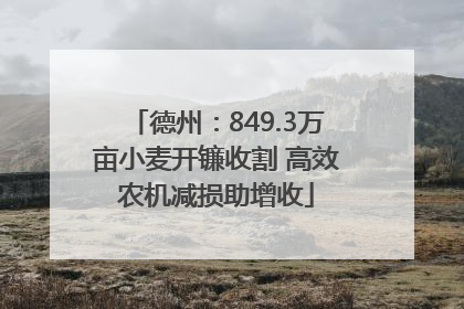 德州：849.3万亩小麦开镰收割 高效农机减损助增收