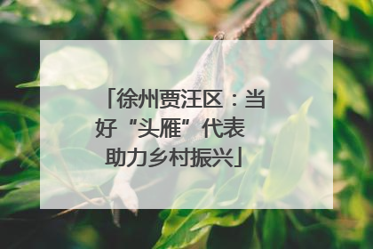 徐州贾汪区：当好“头雁”代表 助力乡村振兴