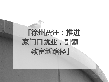 徐州贾汪：推进家门口就业，引领致富新路径