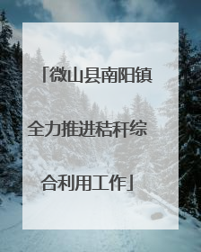 微山县南阳镇全力推进秸秆综合利用工作