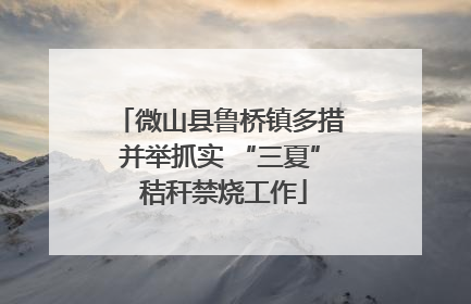 微山县鲁桥镇多措并举抓实 “三夏” 秸秆禁烧工作