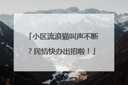 小区流浪猫叫声不断？民情快办出招啦！