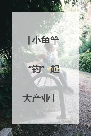 小鱼竿“钓”起大产业