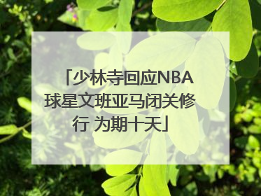 少林寺回应NBA球星文班亚马闭关修行 为期十天