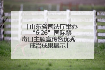 山东省司法厅举办“6·26”国际禁毒日主题宣传暨优秀戒治成果展示