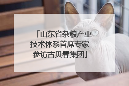 山东省杂粮产业技术体系首席专家参访古贝春集团