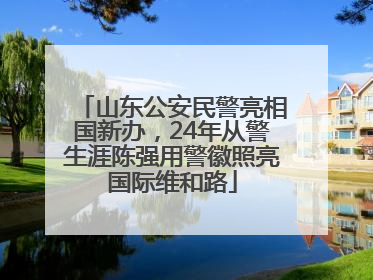 山东公安民警亮相国新办，24年从警生涯陈强用警徽照亮国际维和路