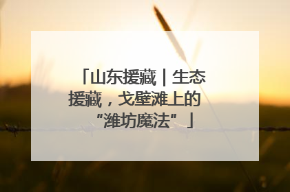 山东援藏｜生态援藏，戈壁滩上的“潍坊魔法”