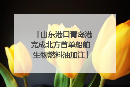 山东港口青岛港完成北方首单船舶生物燃料油加注