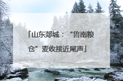 山东郯城：“鲁南粮仓”麦收接近尾声