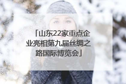山东22家重点企业亮相第九届丝绸之路国际博览会