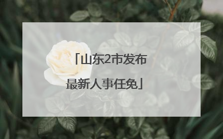 山东2市发布最新人事任免