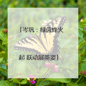 岑巩：绿茵烽火起 跃动展英姿