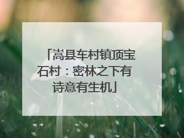嵩县车村镇顶宝石村：密林之下有诗意有生机