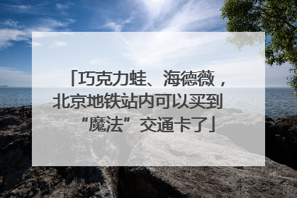 巧克力蛙、海德薇，北京地铁站内可以买到“魔法”交通卡了
