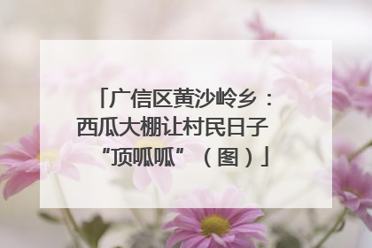 广信区黄沙岭乡：西瓜大棚让村民日子“顶呱呱”（图）