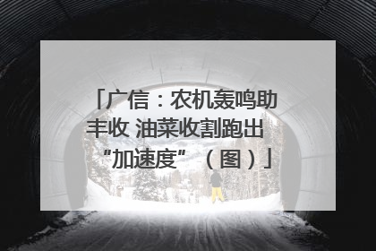 广信：农机轰鸣助丰收 油菜收割跑出“加速度”（图）