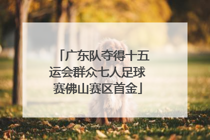广东队夺得十五运会群众七人足球赛佛山赛区首金