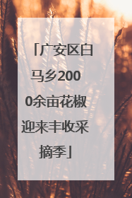 广安区白马乡2000余亩花椒迎来丰收采摘季