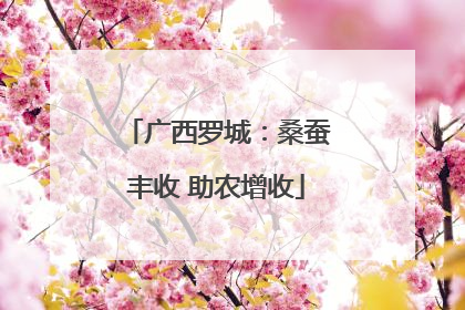 广西罗城：桑蚕丰收 助农增收