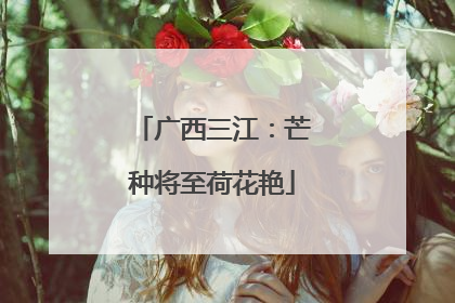 广西三江：芒种将至荷花艳